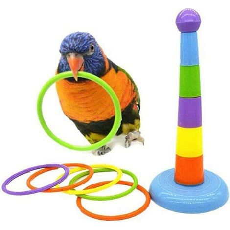 Vogelspielzeug, Vogelringspielzeug, Papageien-Intelligenztraining (1/5)