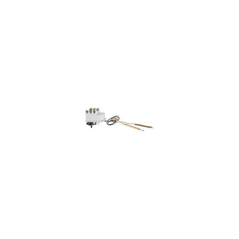Thermostat de chauffe eau COTHERM - Type BTS 450 modèle à 2 bulbes 90°C