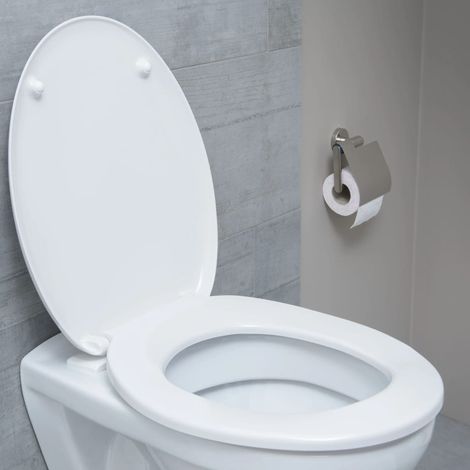 Sedile Wc Wc Bianco Con Soft White (1/5)