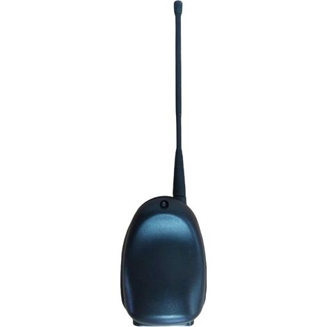 Récepteur 24V RXH 2175 868 MHZ SEAV