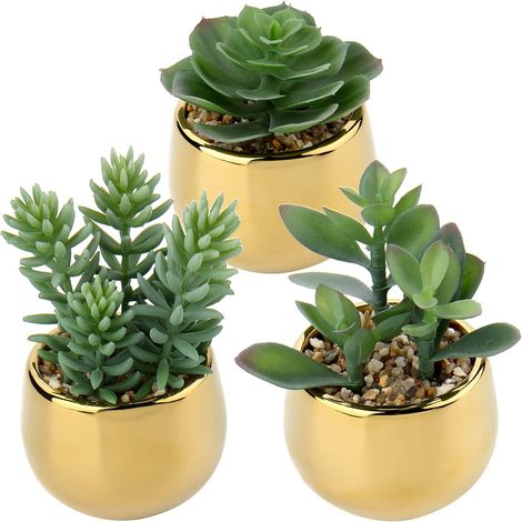Lot de 3 Plantes succulentes artificielles - Décoration printanière - Fleurs artificielles dans Un Pot en céramique - Décoration pour Salon, Jardin, Balcon, Chambre à Coucher, Salle de Bain (1/5)