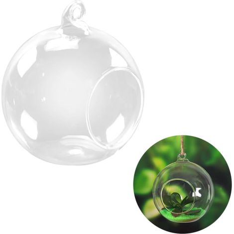 Hängendes Pflanzenterrarium aus Glas en Weißer Orb Form