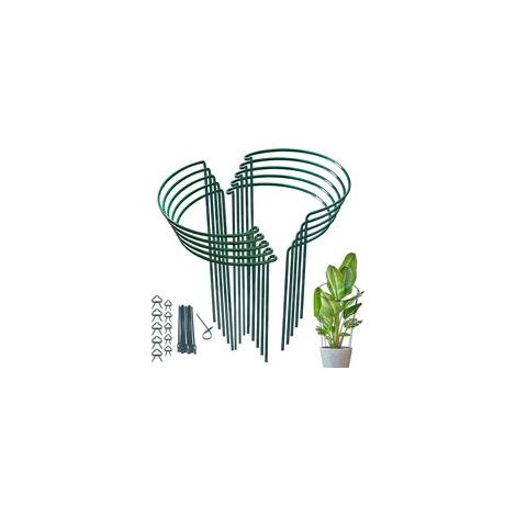 ZOLGINAH 6x Tuteurs Pour Plantes, Piquets Verts Demi-Ronds Support Pour Plantes Support Plante,Aidez Vos Plantes à Pousser - Anneau de Support de Plante Pieux à Hortensias,Pivoines,Plantes Vivaces(25c (1/5)