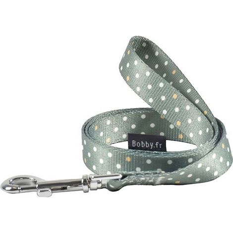 Guinzaglio verde 2,5 x 100 cm: Guinzaglio in nylon verde decorazioni a pois bianchi modello Pretty per cani