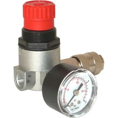 Lacme – Détendeur gaz micron 20 m³/h – Pression d'utilisation 0-12 bars – Entrée femelle 1/4 – Manomètre intégré – 315100 (1/4)
