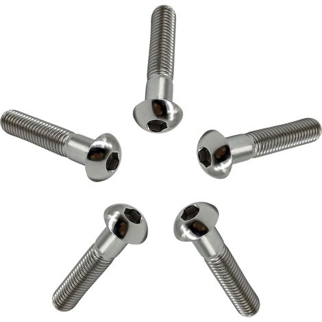 Vis à Tête Bombée M4/M5/M6/M8 en Titane GR5, 5 Pièces Vis à Tête de Bouton Boulons à Six Pans Creux Allen Boulon à Douille Hexagonale Vis à Métaux (1/5)