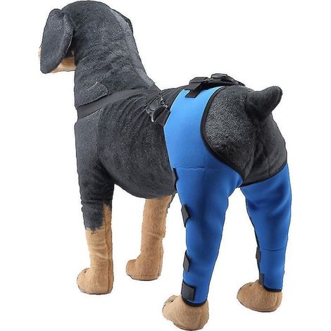Schutzpolster für Hunde-Ellbogen und Hinterbeine, verstellbare Knieschoner, Pfotenstütze – Größe S – Blau (1/5)