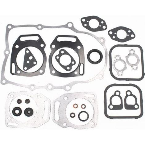 Kit complet de joints de moteur pour Briggs & Stratton 841188, 304447, 305440, 305442, 305447, 305777 (1/2)