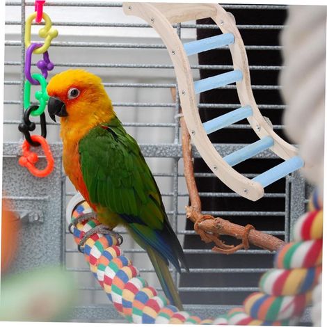 Interactive Parrot Cage Toys, Nature Safe Exploration Play Accessories for Pet Parrots (1/4)