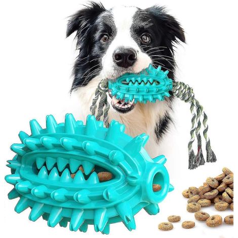 Jouet pour chien, brosse à dents, bâtonnet molaire (1/5)