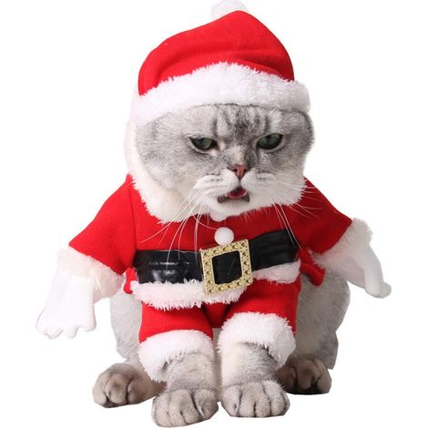Déguisement de Père Noël pour animaux de compagnie (chien/chat), bonnet de Père Noël, vêtements d'hiver avec bonnet de Père Noël pour les fêtes de Noël et du Nouvel An (1/5)
