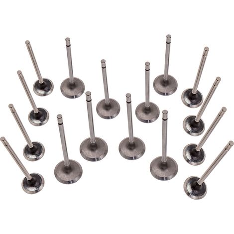 16X Valve Kit For Renault Clio Megane Laguna Scenic Kangoo Modus 1.4 16V/1.6 16V (1/5)