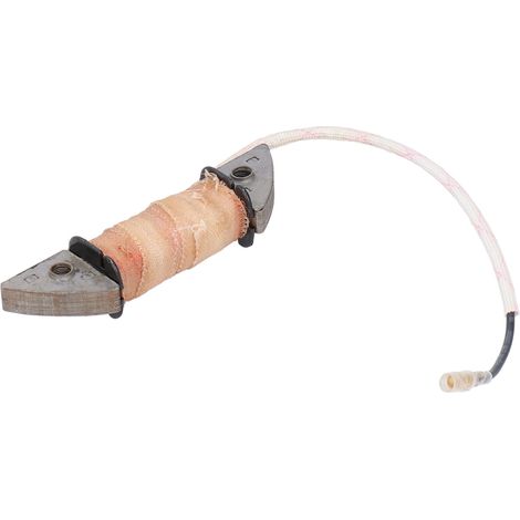 2 Pièces Bobine de Charge 12V Compatible Générateur Essence 168F 170F 188F 190F GX160 GX390 (1/5)