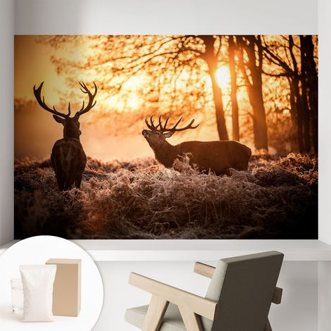 Newroom Tapete Dekorative Vliestapete mit Kleber Modern für Wohnzimmer Schlafzimmer Rehe am Morgen 104x70 cm (1/5)