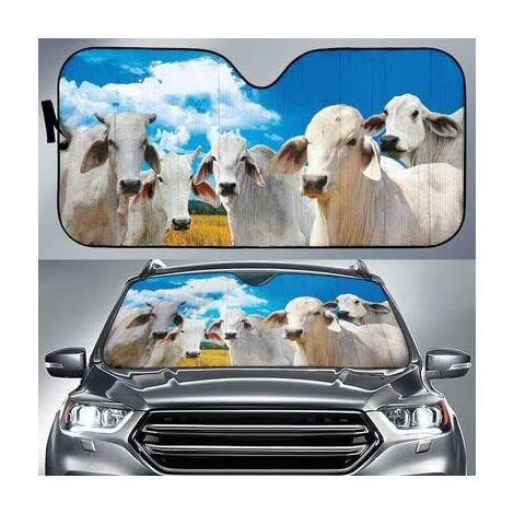 NUOBESTY Pare-Soleil de Pare-Brise Voiture en Tissu Argenté,