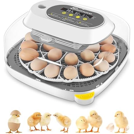 Couveuse automatique 24 œufs – 4 modes d’incubation – Contrôle de température stable – Rotation automatique des œufs – Affichage LED