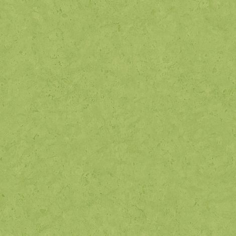 Ton-sur-ton wallpaper wall Profhome 378658 non-woven wallpaper slightly textured Ton-sur-ton matt green 5.33 m2 (57 ft2)