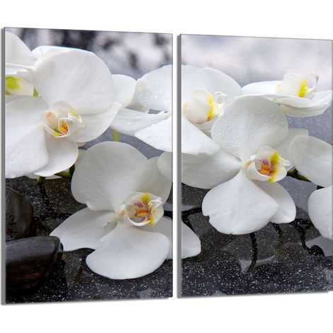 Placa protectora de vidrio para la estufa 2x30x52 Orchidea (1/5)