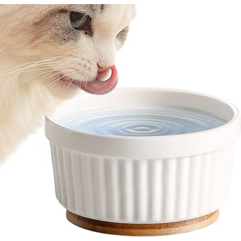 Beheizter Wassernapf für Katzen  Thermostatischer Welpenfutternapf aus Keramik  Hundefutterwärmer, für Welpenbesitzer, Tierkliniken, kaltes Klima