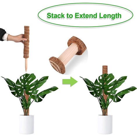Lot de 2 tuteurs en mousse pour Monstera et Pothos, empilables, avec 20 attaches de câble pour étendre les tiges. (1/5)