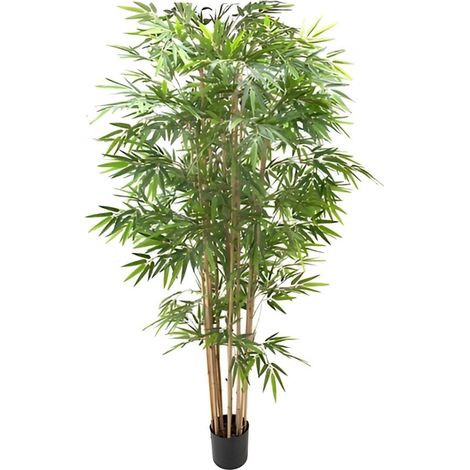 Pianta di bamboo 230 cm x 2480 foglie