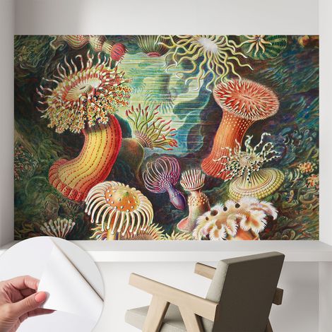 Carta da parati adesiva - lavabile - decorazione murale - per cucina - pellicola decorativa Anemoni fantastici 104x70 cm (1/5)