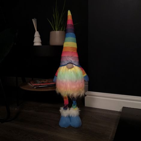 60cm Battery Operated Lit Standing Christmas Rainbow Gonk (1/5)