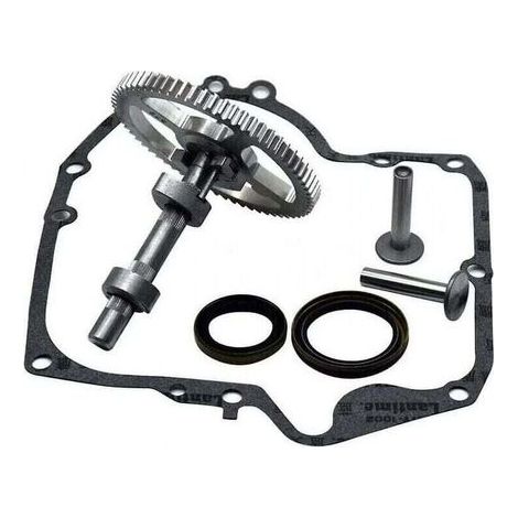 Arbre à Cames Briggs & Stratton – Kit de Remplacement avec Joints d’Huile et Carter – 793880, 793583, 792681, 795102 (1/4)