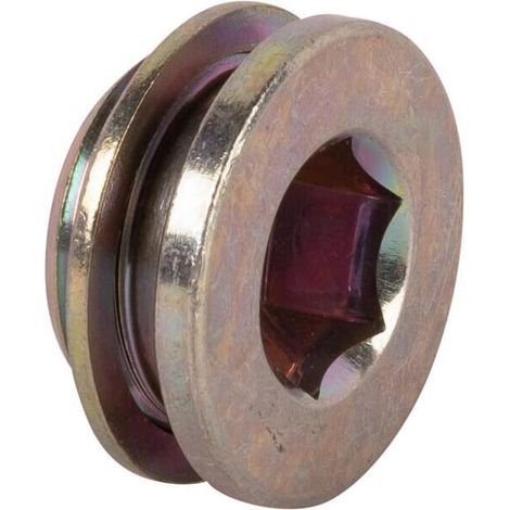 Obturateur SPICER DANA 1120161001 (1/2)