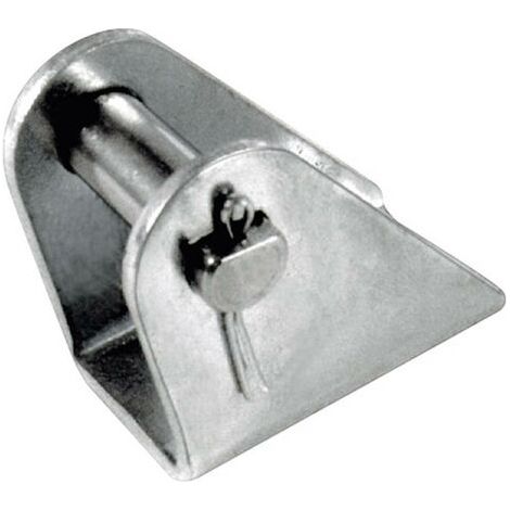 IMI NORGREN Fixation pivotante à l'arrière QM 8012/24 1 pc(s) S67691 (1/2)