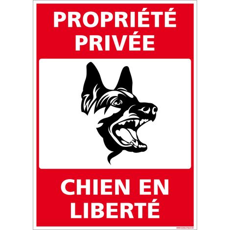 Autocollants de Signalisation Souple – Panneaux de Signalisation Autocollants – Plusieurs tailles au choix – Signalisation Française - Propriété privée, chien en liberté - 210 x 300 mm