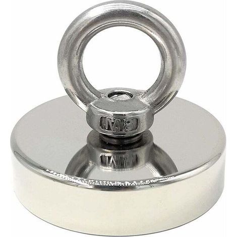 140 kg Neodym-Magnet, 60 mm Durchmesser. Magnete mit starken Hebeösen für industrielle und wissenschaftliche Anwendungen. Magnetangeln (1/5)