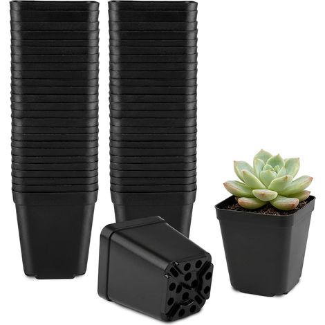 50 x Small Plastic Plant Pots 5.5 cm with Drainage Holes (Black) Square Plastic Nursery Pots, Plant Transplanting Pot for Different Plants, Seedlings, Cuttings, Grafts (1/5)