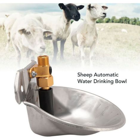 Abreuvoir pour Moutons, Bol à Eau Automatique en Acier Inoxydable pour Mouton, Interrupteur Tactile, Anti-Chute, Anti-Morsure (1/5)