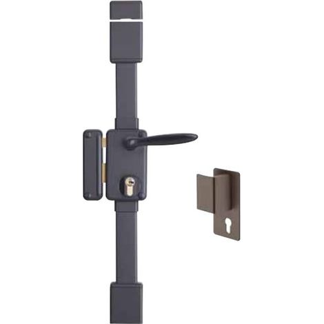 Cerradura vertical Beluga THIRARD - Cilindro perfil europeo - 3 puntos - 75x130 - Fouillot - Izquierda - Marrón - 0495210