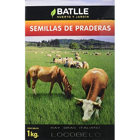 Semi di prato R.G. Certificato Italiano 1 Kg - Batlle (1/4)