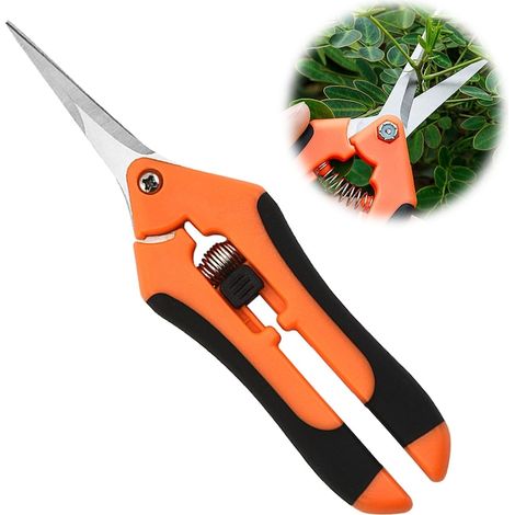 Gartenschere, orange – Klingen aus Edelstahl in Profiqualität (1/5)