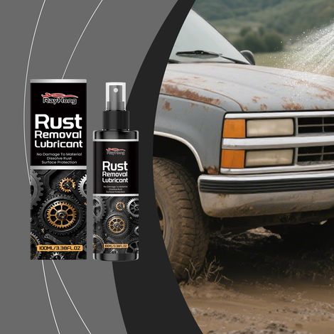 Rostentfernungsspray für Autometallteile – Reinigung, Politur und tägliche Pflege – 100 ml -- BIEMMEDUE (1/5)