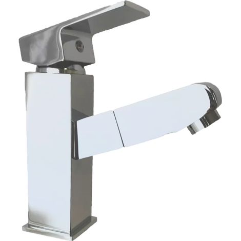Robinet mitigeur lavabo avec Douchette Extractible (1/4)