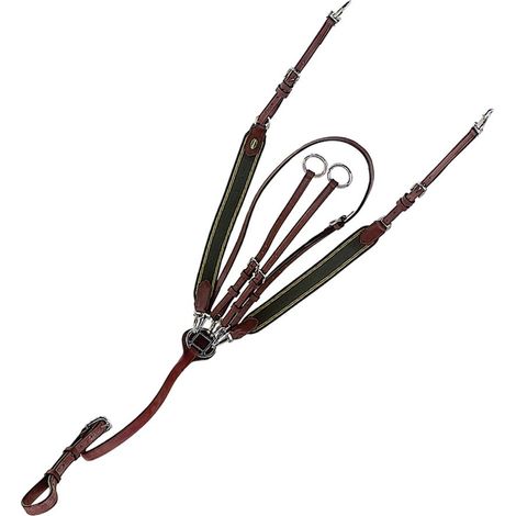 Full, Marrone: Plastron en cuir et élastique avec martingale détachable et fixation de selle Winner Special