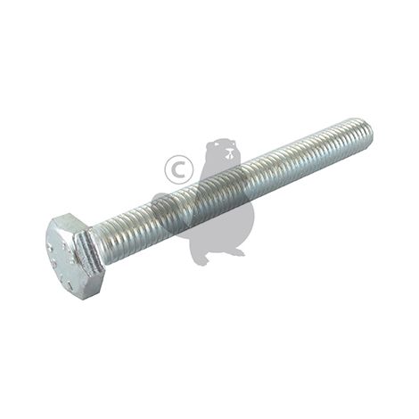 Tornillo h茅xagonale 10 x 90 mm GGP - CASTELGARDEN 112794970/0
