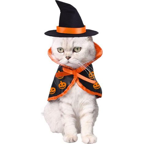 Costume d'Halloween complet pour chien ou chat, comprenant une cape à motif citrouille et un chapeau assorti (1/4)