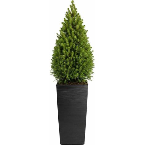 Porto Riflo Blumentopf, schwarz, H 75 x 39,6 x 39,6 cm
