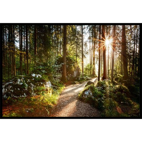 Affiche encadrée – Chemin forestier ensoleillé (1/5)