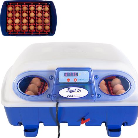 Incubatrice per Uova Semi Automatica Professionale Borotto Real 24 (1/5)