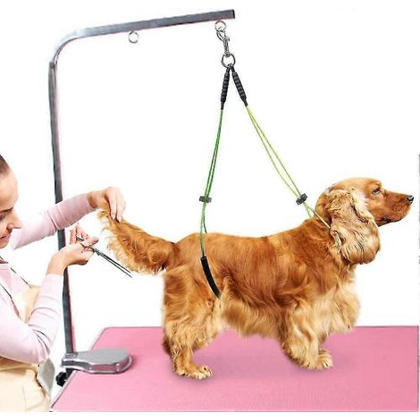 Corde de toilettage pour animaux de compagnie, laisse de toilettage pour animaux de compagnie, support pour cou et jarret, boucle de toilettage pour chien, jaune et vert (1/5)