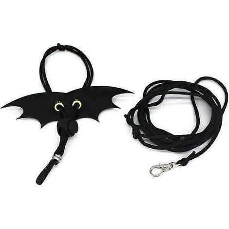 Mignon harnais ailes traction ceinture lézard promenade laisse contrôle corde pour reptiles - S - Noir