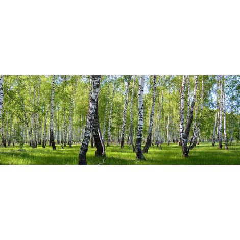 Tableau paysage forêt de bouleaux - 80x30 cm (1/5)