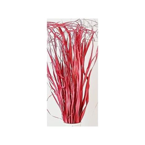 Mazzo steli irregolari rosa (kit da 5)