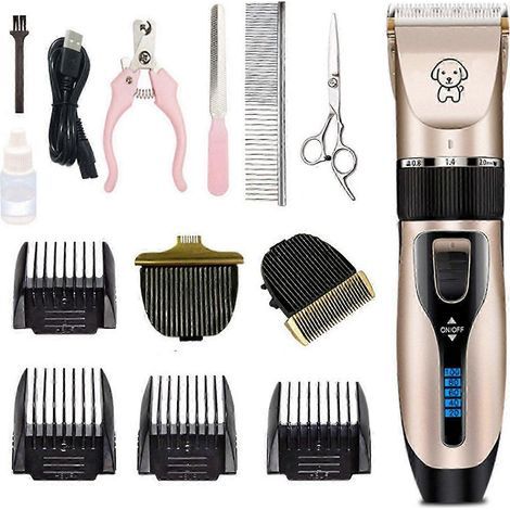Kit de toilettage pour animaux : Tondeuse pour chien. rechargeable par USB. silencieuse. batterie 1200 mAh - Outil professionnel (1/5)